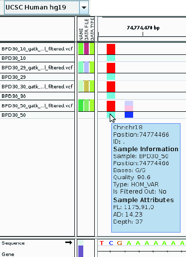 gene analysis