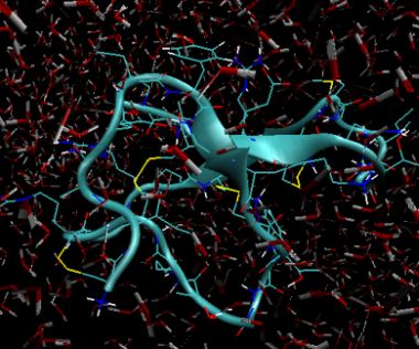 spider venom peptide